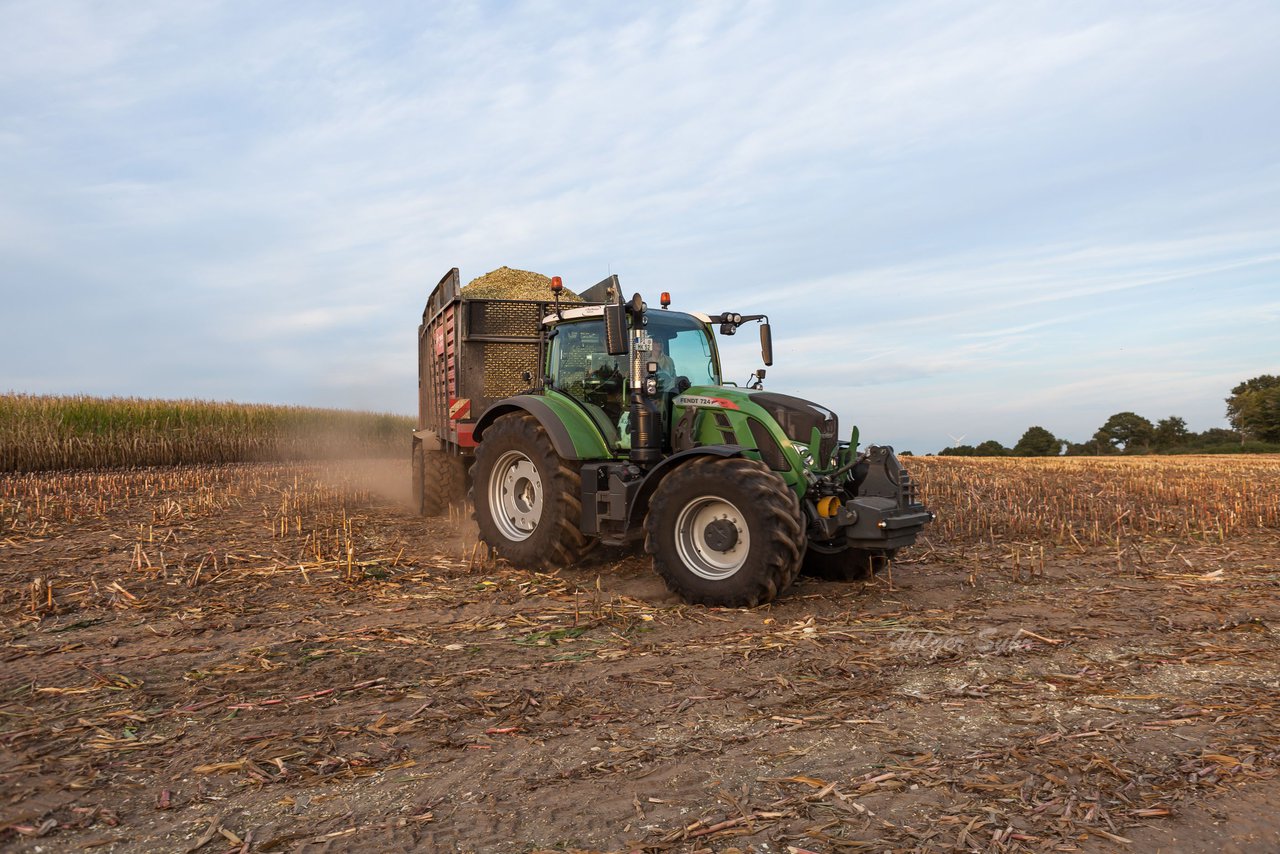 Bild 133 - Maisernte 2016